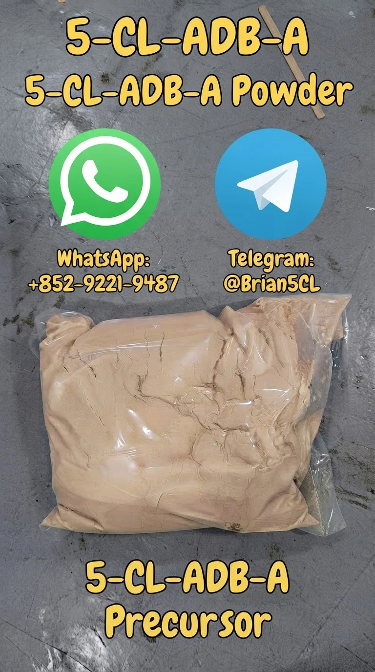 Buy 5-CL-ADB-A precursor powder online | Bulk supplier